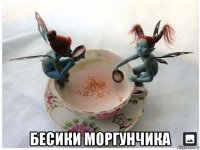  бесики моргунчика