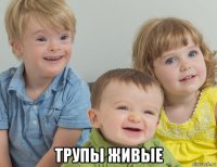  трупы живые