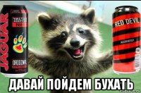  давай пойдем бухать