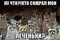 ну что?!кто сожрал мои печеньки?