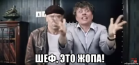  шеф, это жопа!