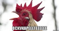  вскукарееегееееее