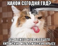 какой сегодня год? год рыжего кота съевшего китайскую металлическую крысу