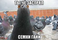 ты чё застрял семки гани