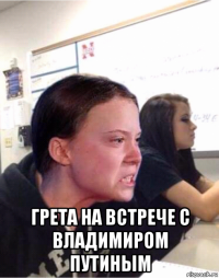  грета на встрече с владимиром путиным