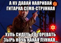 а ну давай наяривай гитарка семя-струнная хуль сидеть то горевать зырь ночь какая лунная...