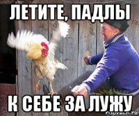 летите, падлы к себе за лужу