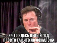  я что здесь целый год просто так что ли ложался?