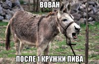 вован после 1 кружки пива