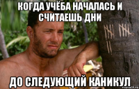 когда учёба началась и считаешь дни до следующий каникул