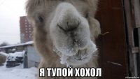  я тупой хохол