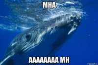 мна аааааааа мн