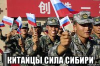  китайцы сила сибири