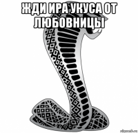 жди ира укуса от любовницы 