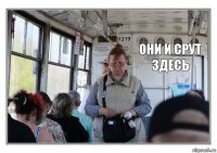  они и срут здесь