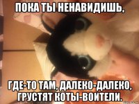пока ты ненавидишь, где-то там, далеко-далеко, грустят коты-воители.