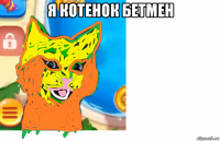 я котенок бетмен 