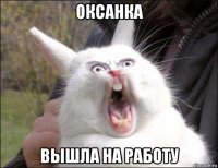 оксанка вышла на работу