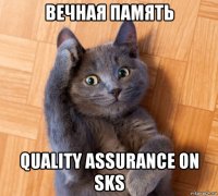 вечная память quality assurance on sks