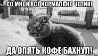 со мной всё нормально челик! да опять кофе бахнул!