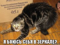  я боюсь себя в зеркале?