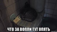  что за вопли тут опять