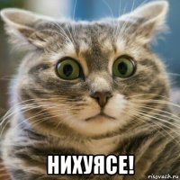  нихуясе!