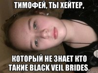 тимофей, ты хейтер, который не знает кто такие black veil brides.