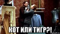  кот или тигр?!