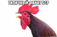 типичный фанат scp 