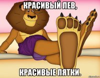 красивый лев, красивые пятки.