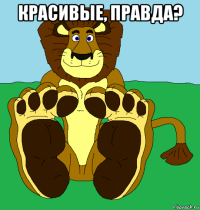 красивые, правда? 