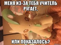 меня из-за тебя учитель ругает, или показалось?