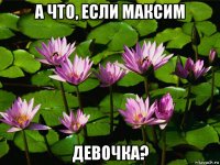 а что, если максим девочка?