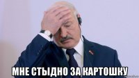  мне стыдно за картошку