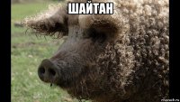 шайтан 