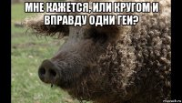 мне кажется, или кругом и вправду одни геи? 