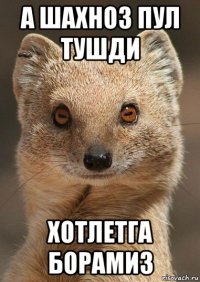 а шахноз пул тушди хотлетга борамиз