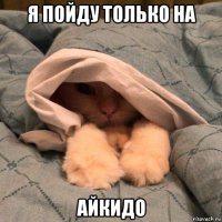 я пойду только на айкидо