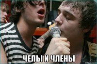  челы и члены