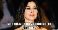  моника моника засоси моего слоника