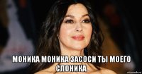  моника моника засоси ты моего слоника