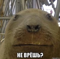  не врёшь?