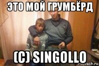это мой грумбёрд (с) singollo