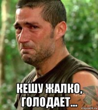  кешу жалко, голодает...