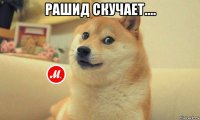 рашид скучает.... 