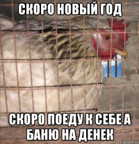 скоро новый год скоро поеду к себе а баню на денек