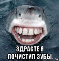  здрасте я почистил зубы