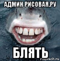 админ рисовая.ру блять