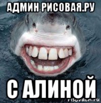 админ рисовая.ру с алиной